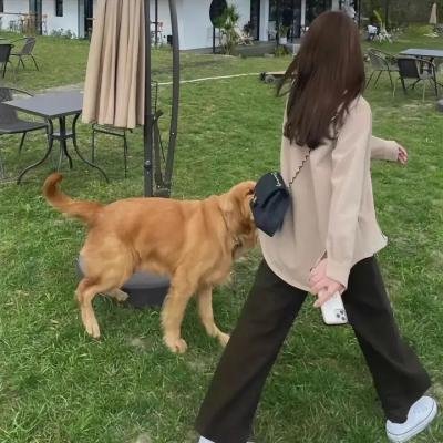 请求庇护